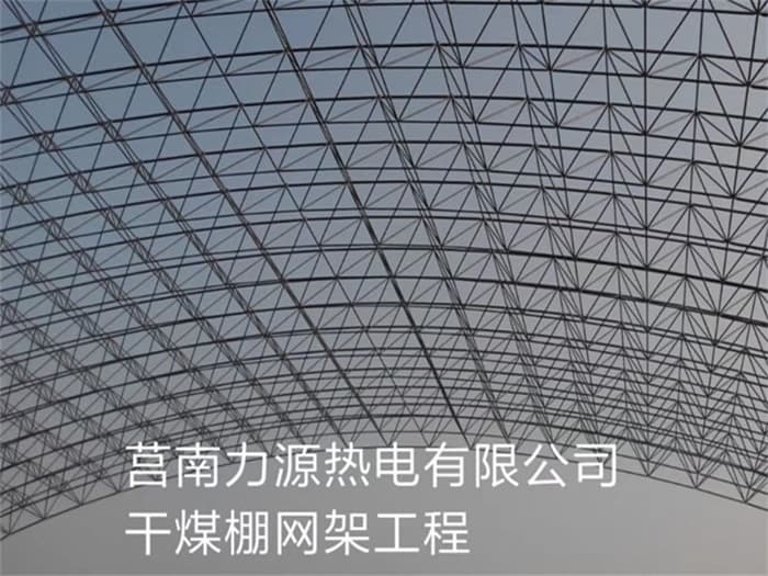 邓州力源热电有限公司干煤棚网架工程